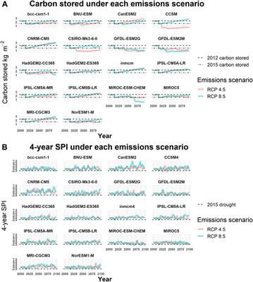 Carbon stored in live ponderosa pines in the Sierra Nevada will not return to pre-drought (2012) levels during the 21st century due to bark beetle outbreaks